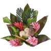 Table Plant - Pflanzen - 