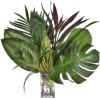 Table Plant - Pflanzen - 