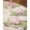 Table Setting - 小物 - 