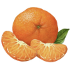 Tangerine - Fruit - 