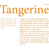 Tangerine text - イラスト用文字 - 