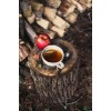 Tea and apple - Moje fotografie - 