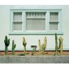 Teal cactus exterior - Buildings - 