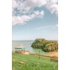 Tenby Wales - Nature - 