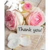Thank-You - Background - 