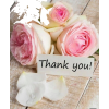 Thank-You - Fundos - 