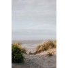 The coast of Bredene Belgium - 自然 - 