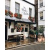 The holly bush London - Građevine - 