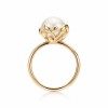 Tiffany & Co. - Rings - 
