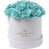 Tiffany Blue - Items - 
