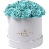 Tiffany Blue - Artikel - 