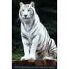 Tiger - Uncategorized - 