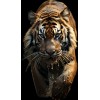 Tiger photo - Uncategorized - 