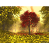 Jesen - Nature - 