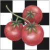 Tomato Art - Rascunhos - 