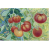 Tomato Art - Ilustrationen - 