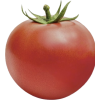 Tomato Red - Voće - 