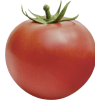 Tomato Red - Frutas - 