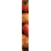 Tomato - Živila - 