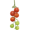 Tomato - 食品 - 