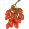 Tomato - Namirnice - 