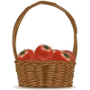 Tomato - Ilustracje - 