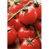 Tomatoes - Frutas - 