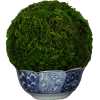 Topiary - Uncategorized - $30.00  ~ 25.77€