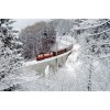 Train in the snowy mountain - Vehículos - 