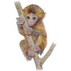 Tree monkey - Animals - 