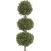 Tree - 植物 - 
