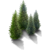 Trees - Plantas - 