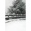 Snijezni put - 背景 - 