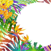 Tropical Background Colorful - Fundos - 