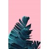 Tropical Leaves Background - Pozadine - 
