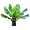 Tropical Plants - Pflanzen - 