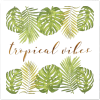 Tropical Vibes - Texte - $14.99  ~ 12.87€