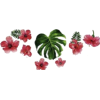 Tropical - Ilustracije - 