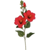 Tropical flower - Rośliny - 