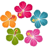 Tropical flowers - Uncategorized - 