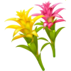 Tropical flowers - Uncategorized - 