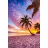 Tropical sunset - Фоны - 