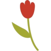 Tulip - Uncategorized - 