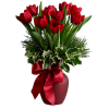 Tulipani - Rośliny - 