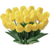 Tulips - 植物 - 