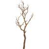 Twig Branches - Rośliny - 