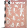 Typo anatomy notebook - Przedmioty - 