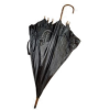 Umbrella - Items - 