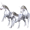 Unicorns - 模特（假人） - 