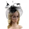 Urban CoCo Women's Elegant Flower Feather and Veil Fascinator Cocktail Party Hair Clip Hat - Figure - $11.99 